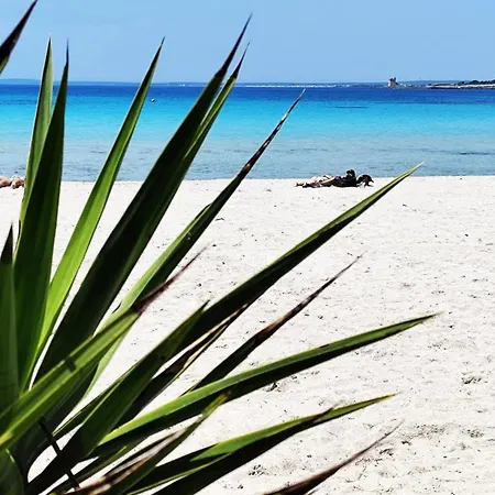 Casa Acquamarina Salento * Sant Isidoro (Apulia)